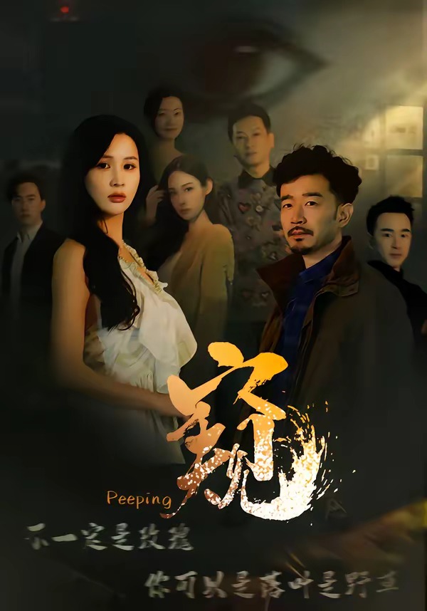 窥伺