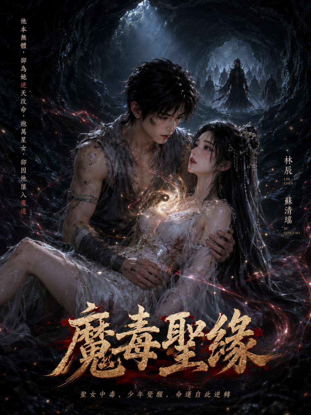 魔毒圣缘